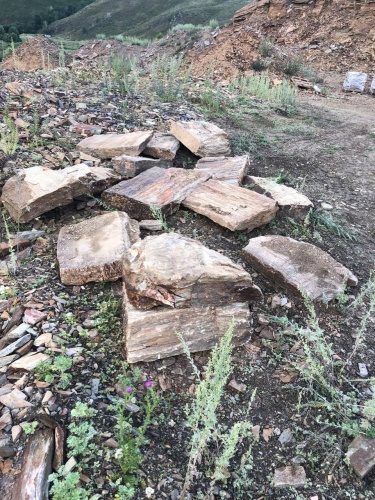 Плитняк кора дерева 50-100мм для пошаговых дорожек купить в Туймазах